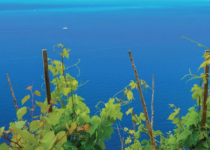 Gorgeous In With House Sea View