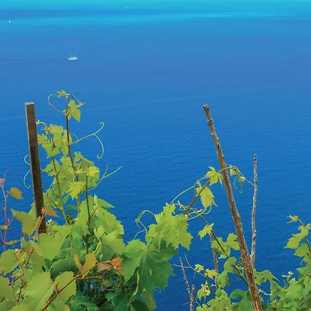 Gorgeous In With House Sea View